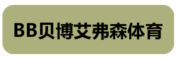 BB贝博艾弗森体育