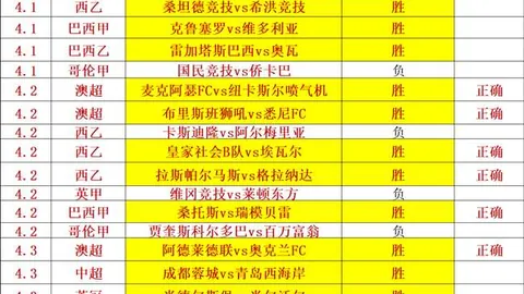BB贝博艾弗森体育
